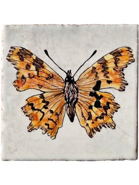 Comma butterfly, Polygonia c-album (Linnaeus, 1758)