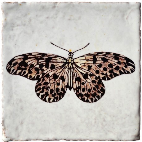 Butterfly tile entomological tiles Idaea lincea