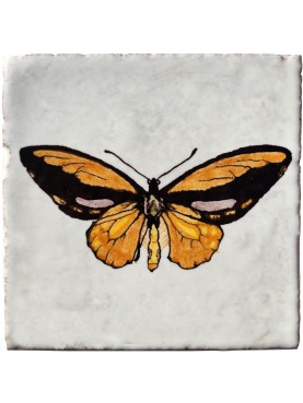A.R. Wallace butterfly Ornithoptera croesus (Wallace, 1859) majolica tile