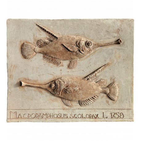Trumpet fish - large terracotta tile