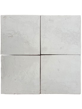 White majolica rustic tiles 20x20 cm