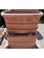 Large Tuscan oval crate for lemons