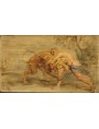 Peter Paul Rubens - Hercules Strangling the Nemean Lion - Busch Reisinger Museum Harvard Art Museum
