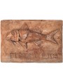 two terracotta panels - rock and mud mullet