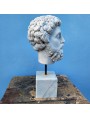 Marco Aurelio testa in marmo bianco di Carrara