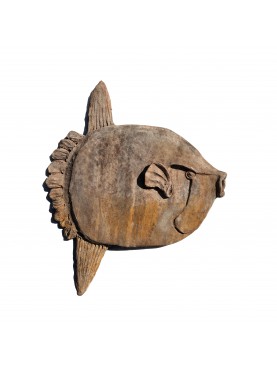 Moonfish (Mola Mola)