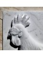 Bas-relief - Rooster in white Carrara marble