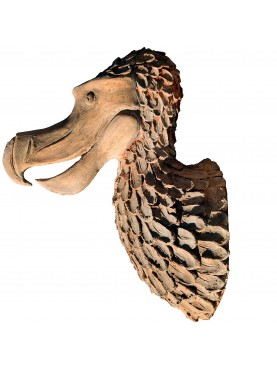 Dodo HEAD (Raphus cucullatus) extint bird