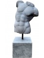 Busto maschile libera ispirazione torso Gaddi