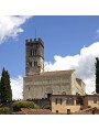 The cathedral of Barga