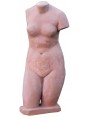 Terracotta Venus H 60 cm with base 550€