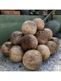 cannonballs Terracotta spheres Ø 27 cm copy