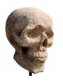 Terracotta skull of our production