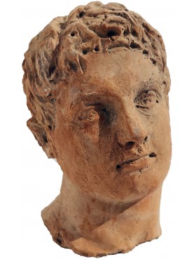 Apollo terracotta head