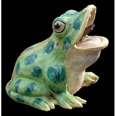 Vendicari's Frog Big size
