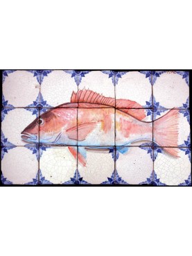 Caraibic Red Snapper