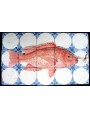 Caraibic Red Snapper
