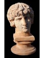 Antinoo terracotta head and base