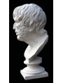 Seneca plaster cast head / bust