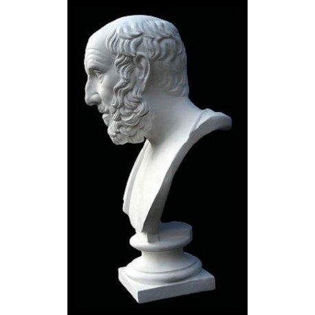 Platone - plaster cast