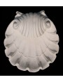 Wall Shell Sconce in plaster