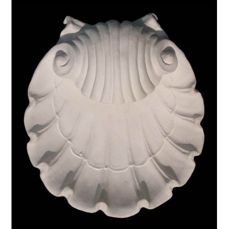 Wall Shell Sconce in plaster