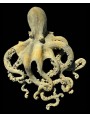 Octopus vulgaris, Cuvier 1797 - terracotta