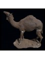 Cast iron camel