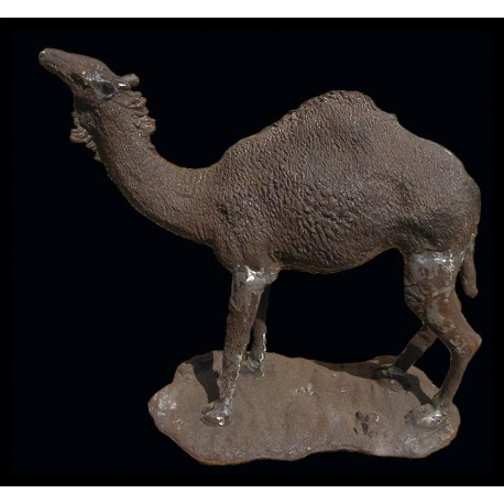 Cast iron camel