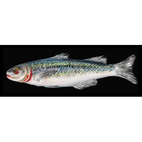 Maiolica fish