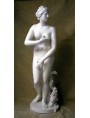 Medici's Venus in Plaster