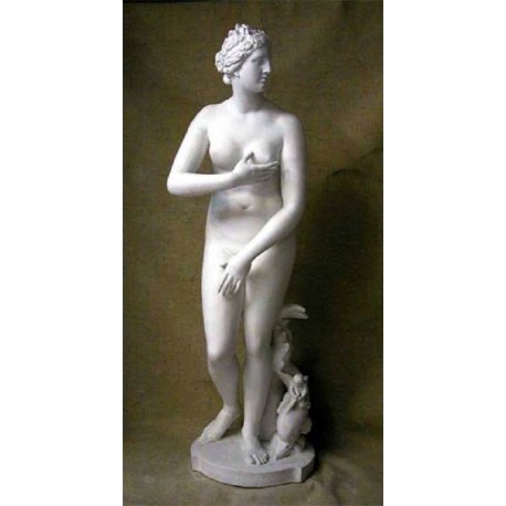 Medici's Venus in Plaster