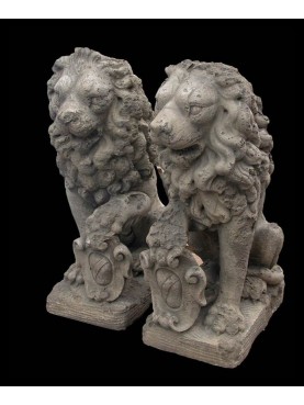 Couple of lions - concrete
