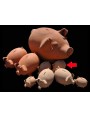 Terracotta pig moneybox medium