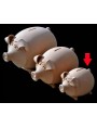 Terracotta pig moneybox little