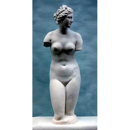 Medici's Venus