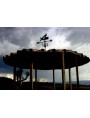 Gazebo with Northern Lapwing with flag